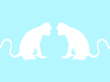 two white monkeys in a cyan background