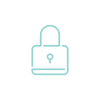 Security and Privacy Icon