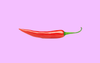 Red chili pepper in purple background