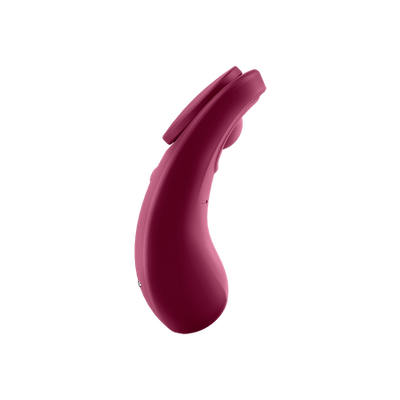 Satisfyer Sexy Secret Sex Toys Philippines