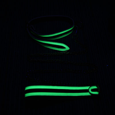 Whipsmart Glow In The Dark Deluxe Role-Play Collar & Leash Sex Toys Philippines