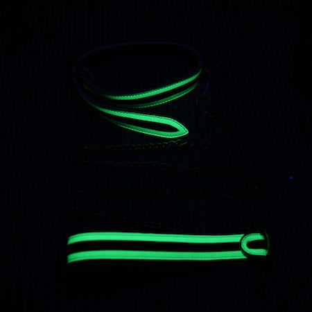 Whipsmart Glow In The Dark Deluxe Role-Play Collar & Leash Sex Toys Philippines